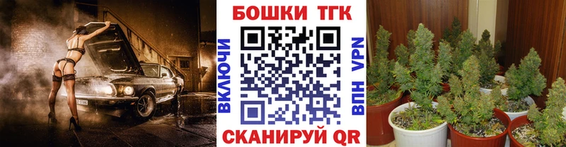 Конопля план Когалым